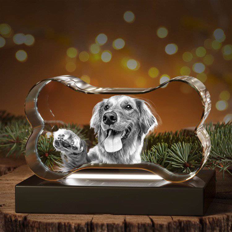 Pets 3D Bone Crystal