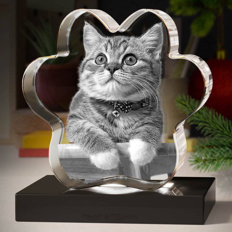 3D Pet Paw Crystal