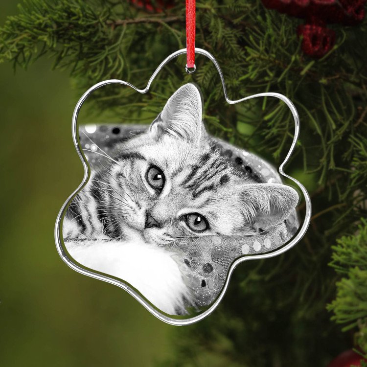 Ornament Pet Paw