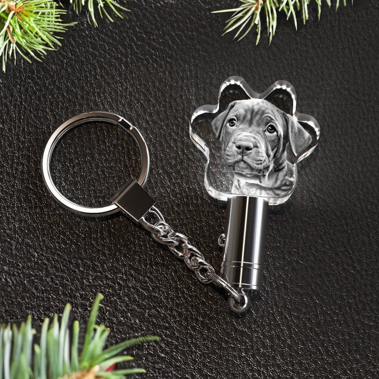 Keychain Pet Paw 3D