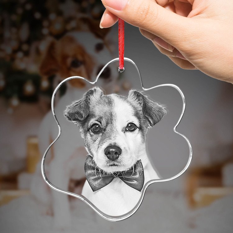 Ornament Pet Paw