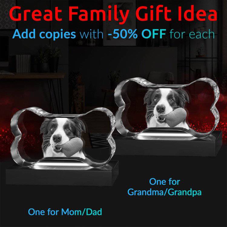 Pets 3D Bone Crystal