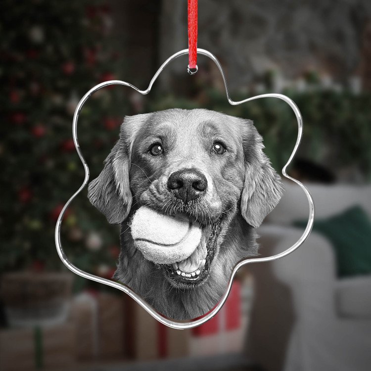 Ornament Pet Paw