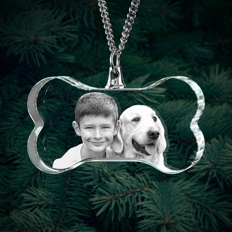 Pets Necklace Bone 3D