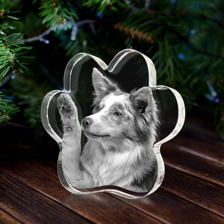 3D Pet Paw Crystal