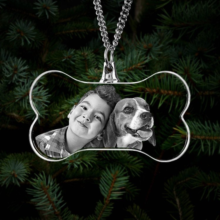 Pets Necklace Bone 2D